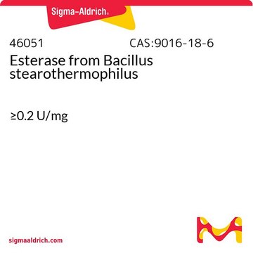 Esterase from Bacillus stearothermophilus &#8805;0.2&#160;U/mg