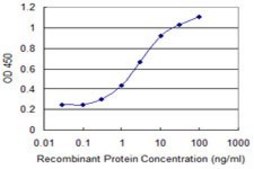 Monoclonal Anti-GCET2 antibody produced in mouse clone 1E9, purified immunoglobulin, buffered aqueous solution