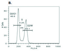Cell Cycle Analysis Kit sufficient for 100 assays