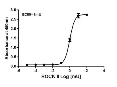 Rho相关激酶（ROCK）活性测定 This Rho-associated Protein Kinase (ROCK) Activity Assay Kit is an enzyme immunoassay for detection of the active ROCK &amp; DMPK family kinases.