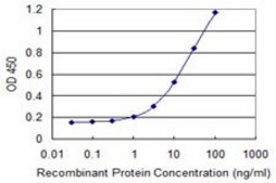 Monoclonal Anti-FBN1 antibody produced in mouse clone 3H6, purified immunoglobulin, buffered aqueous solution