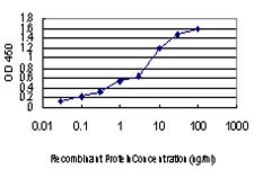 Monoclonal Anti-LRP5 antibody produced in mouse clone 1E9, purified immunoglobulin, buffered aqueous solution
