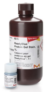 READYBLUE&#174; 蛋白凝胶染色剂