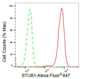 KD-Validated Anti STUB1 Antibody, clone 23GB2345, Rabbit Monoclonal clone 23GB2345, recombinant rabbit monoclonal, expressed in HEK293 cells