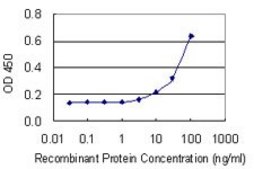 Monoclonal Anti-ZBTB7A antibody produced in mouse clone 2A2, purified immunoglobulin, buffered aqueous solution