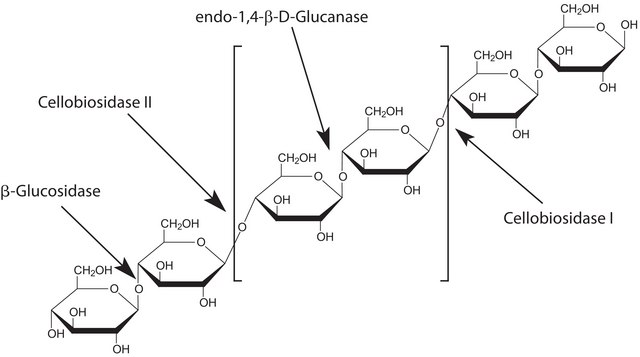 Cellulase, enzyme blend