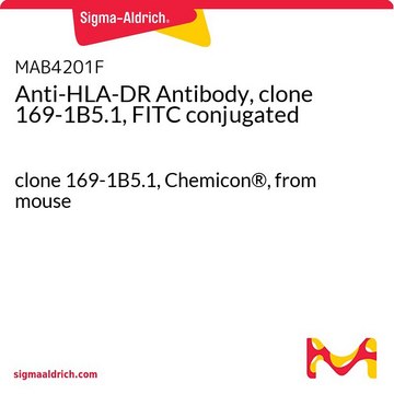 Anti-HLA-DR Antibody, clone 169-1B5.1, FITC conjugated clone 169-1B5.1, Chemicon&#174;, from mouse