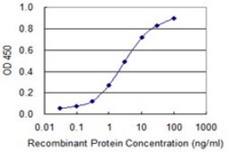 Monoclonal Anti-SNAPC4 antibody produced in mouse clone 4G5, purified immunoglobulin, buffered aqueous solution