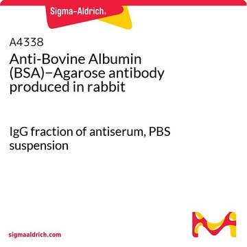 Anti-Bovine Albumin (BSA)&#8722;Agarose antibody produced in rabbit IgG fraction of antiserum, PBS suspension