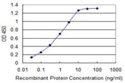 ANTI-KIT antibody produced in mouse clone 2C3, purified immunoglobulin, buffered aqueous solution