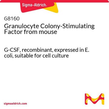 Granulocyte Colony-Stimulating Factor from mouse G-CSF, recombinant, expressed in E. coli, suitable for cell culture