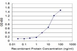 Monoclonal Anti-TNFRSF8 antibody produced in mouse clone 2E2, purified immunoglobulin, buffered aqueous solution
