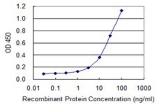 Monoclonal Anti-NAPSA, (C-terminal) antibody produced in mouse clone 2B1, purified immunoglobulin, buffered aqueous solution