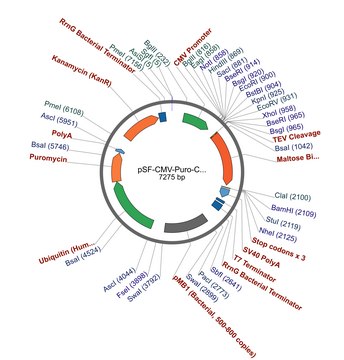 PSF-CMV-PURO-COOH-TEV-MBP - C-TERMINAL MBP TAG MAMMALIAN PLASMID plasmid vector for molecular cloning