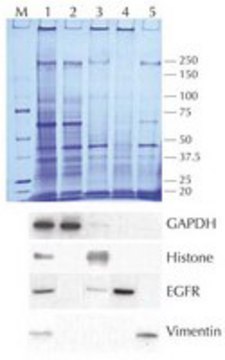 Compartment Protein Extraction Kit