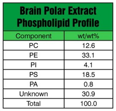 极性脑提取液 Avanti Polar Lipids