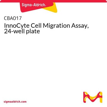 InnoCyte Cell Migration Assay, 24-well plate