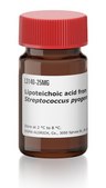Lipoteichoic acid from Streptococcus pyogenes