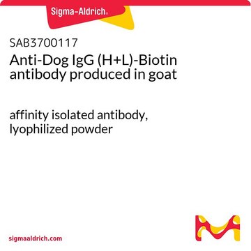 Anti-Dog IgG (H+L)-Biotin antibody produced in goat affinity isolated antibody, lyophilized powder