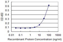 Monoclonal Anti-ERBB2 antibody produced in mouse clone 4B8, purified immunoglobulin, buffered aqueous solution