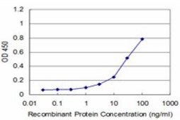 Monoclonal Anti-SET antibody produced in mouse clone M1-F5, purified immunoglobulin, buffered aqueous solution