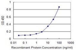 Monoclonal Anti-VAT1, (C-terminal) antibody produced in mouse clone 3E9, purified immunoglobulin, buffered aqueous solution