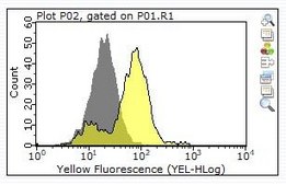 Anti-CD24 Antibody, clone 3N22 ZooMAb® Rabbit Monoclonal recombinant, expressed in HEK 293 cells
