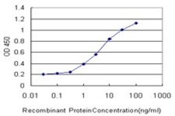 Monoclonal Anti-ALG8 antibody produced in mouse clone 2E10, purified immunoglobulin, buffered aqueous solution