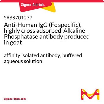 Anti-Human IgG (Fc specific), highly cross adsorbed-Alkaline Phosphatase antibody produced in goat affinity isolated antibody, buffered aqueous solution