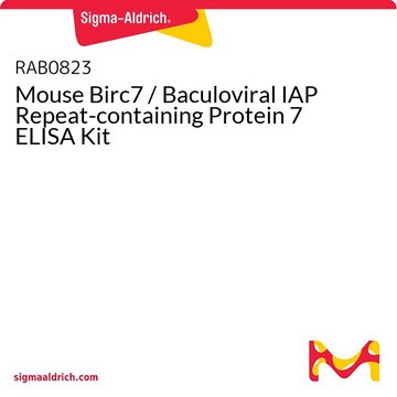 小鼠Birc7 /杆状病毒IAP重复蛋白7 ELISA试剂盒