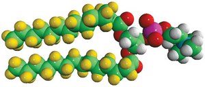 14:0 PC-d54 1,2-dimyristoyl-d54-sn-glycero-3-phosphocholine, chloroform