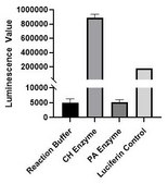 BioTracker BSH Activity Bioluminescent Probe