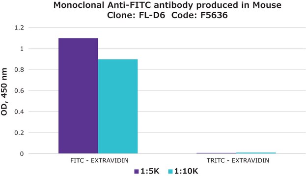 Monoclonal Anti-FITC antibody produced in mouse clone FL-D6, ascites fluid