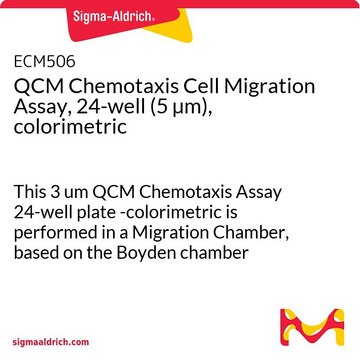 QCM Chemotaxis Cell Migration Assay, 24-well (5 &#181;m), colorimetric This 3 um QCM Chemotaxis Assay 24-well plate -colorimetric is performed in a Migration Chamber, based on the Boyden chamber principle.