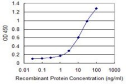 Monoclonal Anti-SNAI1 antibody produced in mouse clone 1A5, purified immunoglobulin, buffered aqueous solution