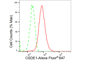 KD-Validated Anti CSDE1 Antibody, clone 23GB3510, Rabbit Monoclonal clone 23GB3510, recombinant rabbit monoclonal, expressed in HEK293 cells