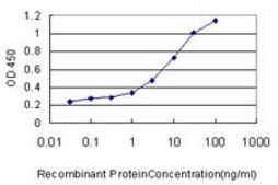 Monoclonal Anti-PIGO antibody produced in mouse clone 2A4-1C3, purified immunoglobulin, buffered aqueous solution