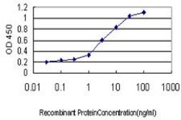Monoclonal Anti-APOL3 antibody produced in mouse clone 4E5, purified immunoglobulin, buffered aqueous solution