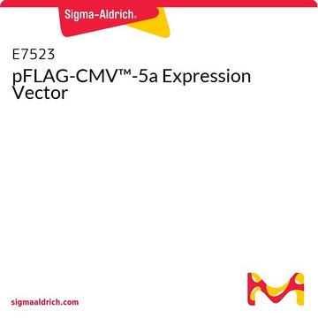 pFLAG-CMV&#8482;-5a Expression Vector