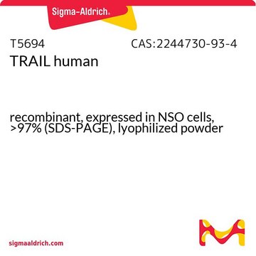 TRAIL human recombinant, expressed in NSO cells, &gt;97% (SDS-PAGE), lyophilized powder