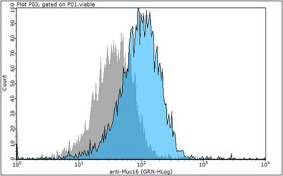 Anti-Mucin-16 (MUC16 Antibody) from rabbit, purified by affinity chromatography