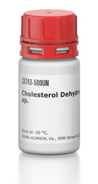 Cholesterol Dehydrogenase from Nocardia sp.