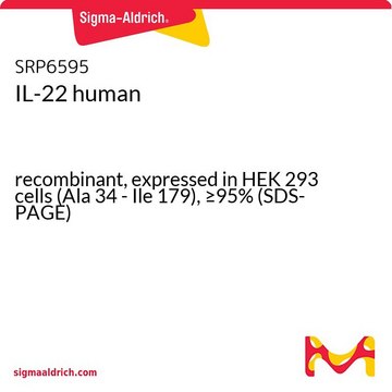 IL-22 human recombinant, expressed in HEK 293 cells (Ala 34 - Ile 179), &#8805;95% (SDS-PAGE)