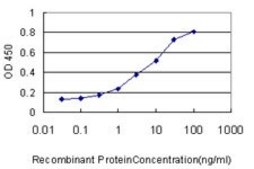 Monoclonal Anti-SPRED2 antibody produced in mouse clone 6G8, purified immunoglobulin, buffered aqueous solution