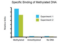 CpG MethylQuest DNA Isolation Kit The CpG MethylQuest DNA Isolation Kit allows for simple, effective &amp; rapid enrichment of methylated DNA from genomic samples.