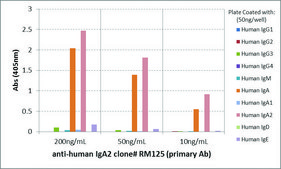 Anti-Human IgA2 antibody, Rabbit monoclonal recombinant, expressed in HEK 293 cells, clone RM125, purified immunoglobulin