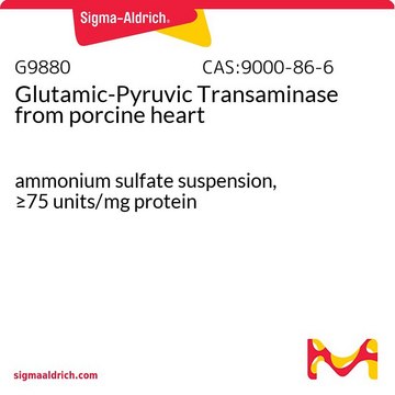 谷丙转氨酶 来源于猪心脏 ammonium sulfate suspension, &#8805;75&#160;units/mg protein