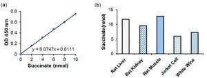 Succinate Colorimetric Assay Kit Sufficient for 100 Colorimetric tests