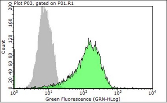 Anti-Integrin &#946;4 Antibody, clone ASC-8 (Azide Free) clone ASC-8, Chemicon&#174;, from mouse