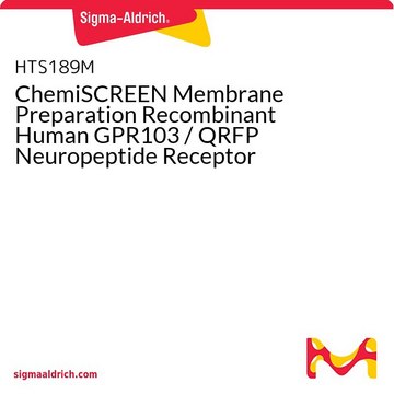 ChemiSCREEN Membrane Preparation Recombinant Human GPR103 / QRFP Neuropeptide Receptor